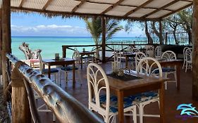 Zanzibar Blue Dolphin Bay